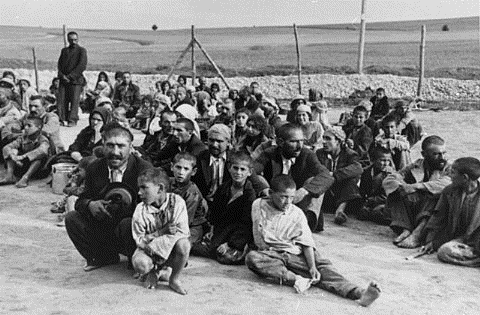 roma in holocaust