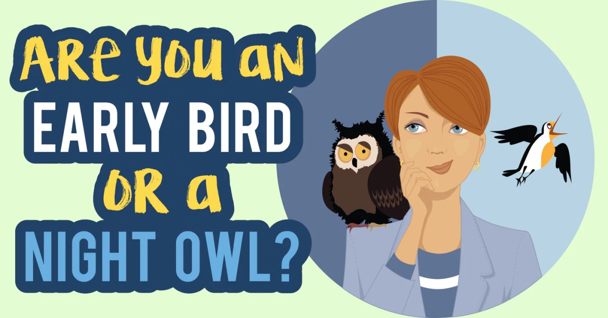 Are Night Owls More Successful than Early&nbsp;Birds?